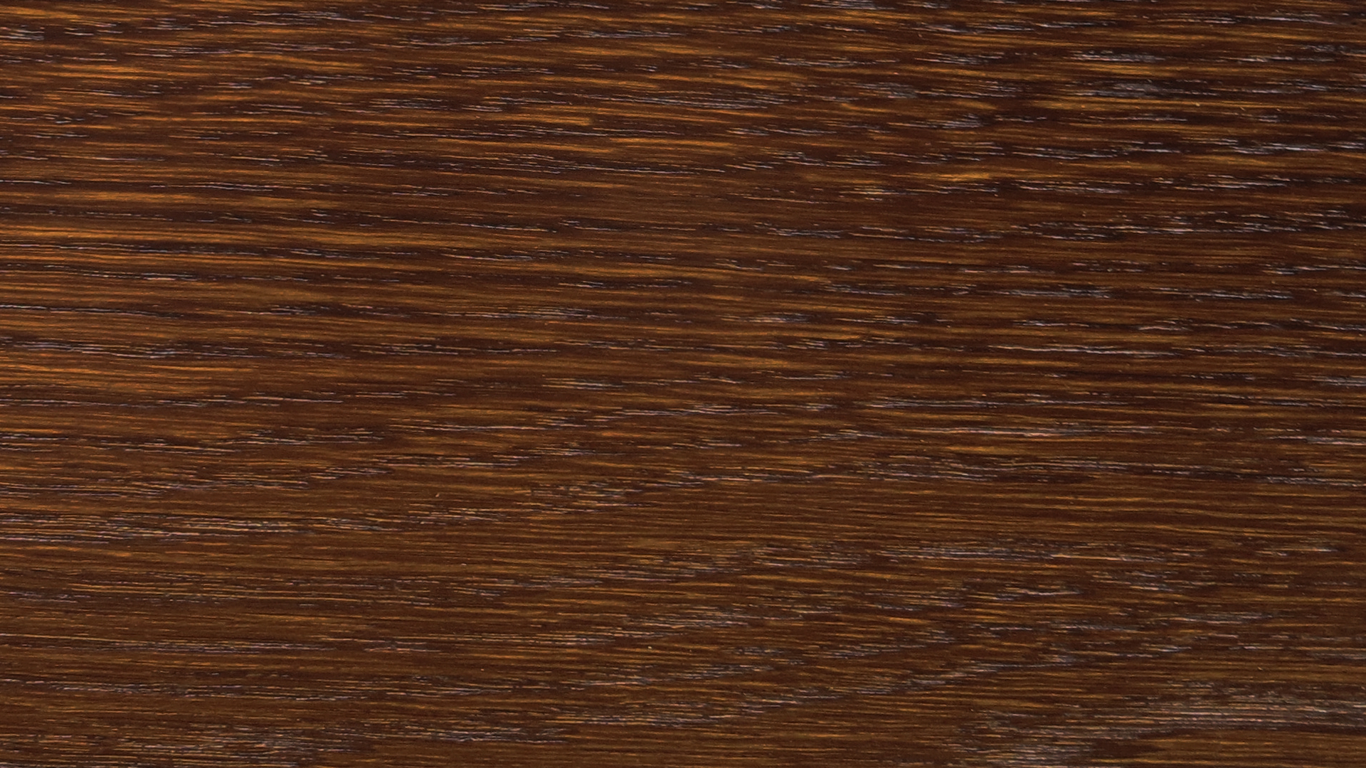 colorwood 18_57b735608ebd9